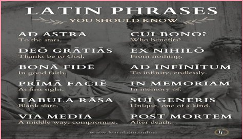 A Profile Of A Latin Beauty